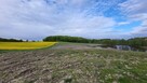1,56ha DZIAŁKA BUDOWLANA ZE STAWEM 35min od Gdańsk - 13