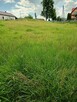 Sprzedam ładną działkę budowlaną - 3