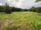 Atrakcyjna Działka 1037m2 Babki, w otoczeniu lasu - 12