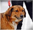 Tosiek – daj się zaczarować temu radosnemu młodzieńcowi - 3