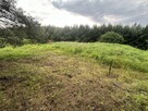 Atrakcyjna Działka 1037m2 Babki, w otoczeniu lasu - 10