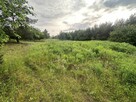 Atrakcyjna Działka 1037m2 Babki, w otoczeniu lasu - 8