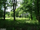 Zajączków – działka pod zabudowę wielorodzinną - 7