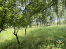 Przybysławice gm. Zielonki - widokowa 20-arowa działka ! - 5