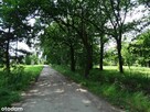 Zajączków – działka pod zabudowę wielorodzinną - 6