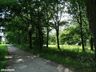 Zajączków – działka pod zabudowę wielorodzinną - 1