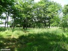 Zajączków – działka pod zabudowę wielorodzinną - 2