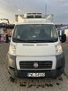 Fiat Ducato Chlodnia - 3