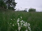 Domek letniskowy z działką budowlaną - 10