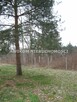 Działka budowlana Jaktorów Stare Budy - 5