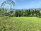Działka rolna Popowice gm. Stary Sącz - 8