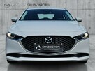 Serwis ASO, Salon Polska, Mazda Grupa Wróbel - 2