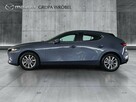 Salon Polska, Serwis ASO, Mazda Grupa Wróbel - 8