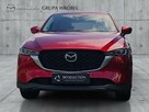 Salon Polska, Serwis ASO, Mazda Grupa Wróbel - 2