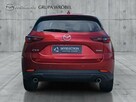 Salon Polska, Serwis ASO, Mazda Grupa Wróbel - 6