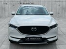 Serwis ASO, Salon Polska, Mazda Grupa Wróbel - 2