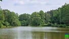 Działka budowlana Sokolniki-Las gm. Ozorków - 4