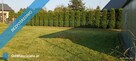 Kołobrzeg -  Działka rekreacyjna ROD im E. Gierczak w Kołobrzegu na sprzedaż - spokój i cisza - 14