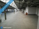 Wynajmę halę usługowo-produkcyjną 2125,9m2 Słupia pod Bralinem - 4