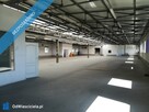 Wynajmę halę usługowo-produkcyjną 2125,9m2 Słupia pod Bralinem - 8