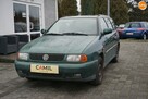 Volkswagen Polo - 1