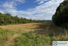 Działka rekreacyjna Sieniawa gm. Rymanów, Nad Zalewem - 11