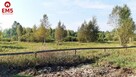 Działka rolno-budowlana Białystok gm. Supraśl Ciasne - 3