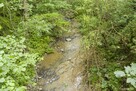 Siedlisko w Bieszczadach - 5