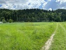 POLECAMY! 113G Gołkowice Dolne gmina Stary Sącz, działka mie - 2