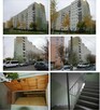 Lokal mieszkalny - Gorzów Wielkopolski - 3