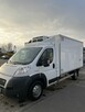 Fiat Ducato Chlodnia - 1