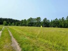Działka z linią brzegową jeziora Wygryny w Wygrynach - 7