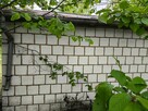 Działka ROD Hortensja Kielce/ Wola Kopcowa - 2