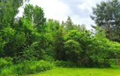Działka budowlana Radonie gm. Grodzisk Mazowiecki - 3