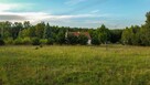 Działka budowlana Barcikowo gm. Dobre Miasto - 15