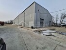 Lokal użytkowy Ryki, Ryki - 6
