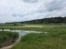 Działka rekreacyjna 1000 m2 w malowniczej okolicy - 3