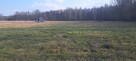 Działka budowlana Dąbrówka gm. Rzezawa - 2