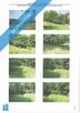 Syndyk sprzeda nieruchomości gruntową niezabudowaną w miejscowości Zagórnik, powiat wadowicki, wojew - 2