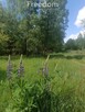 Działka z planem miejscowym blisko miasta - 1