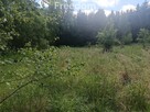 Działka z planem miejscowym blisko miasta - 5