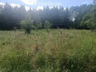 Działka z planem miejscowym blisko miasta - 6