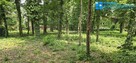 Podkowa Leśna# działka o pow. 2310m2#Starodrzew - 3