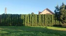 Dom Dobroszyce - 1
