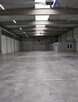 Lokal użytkowy Katowice Dolina Trzech Stawów - 4