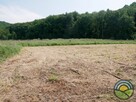 Kochanów gm. Zabierzów - działka 16-arowa blisko lasu ! - 7