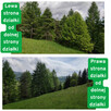 Działka rolna w górach – Szlachtowa 3 072 m² natura, spokój - 7