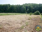 Kochanów gm. Zabierzów - działka 16-arowa blisko lasu ! - 6