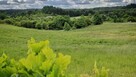 działka25/1 obręb łęgowo, gmina stare kurowo, lubuskie - 11