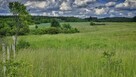 działka25/1 obręb łęgowo, gmina stare kurowo, lubuskie - 9